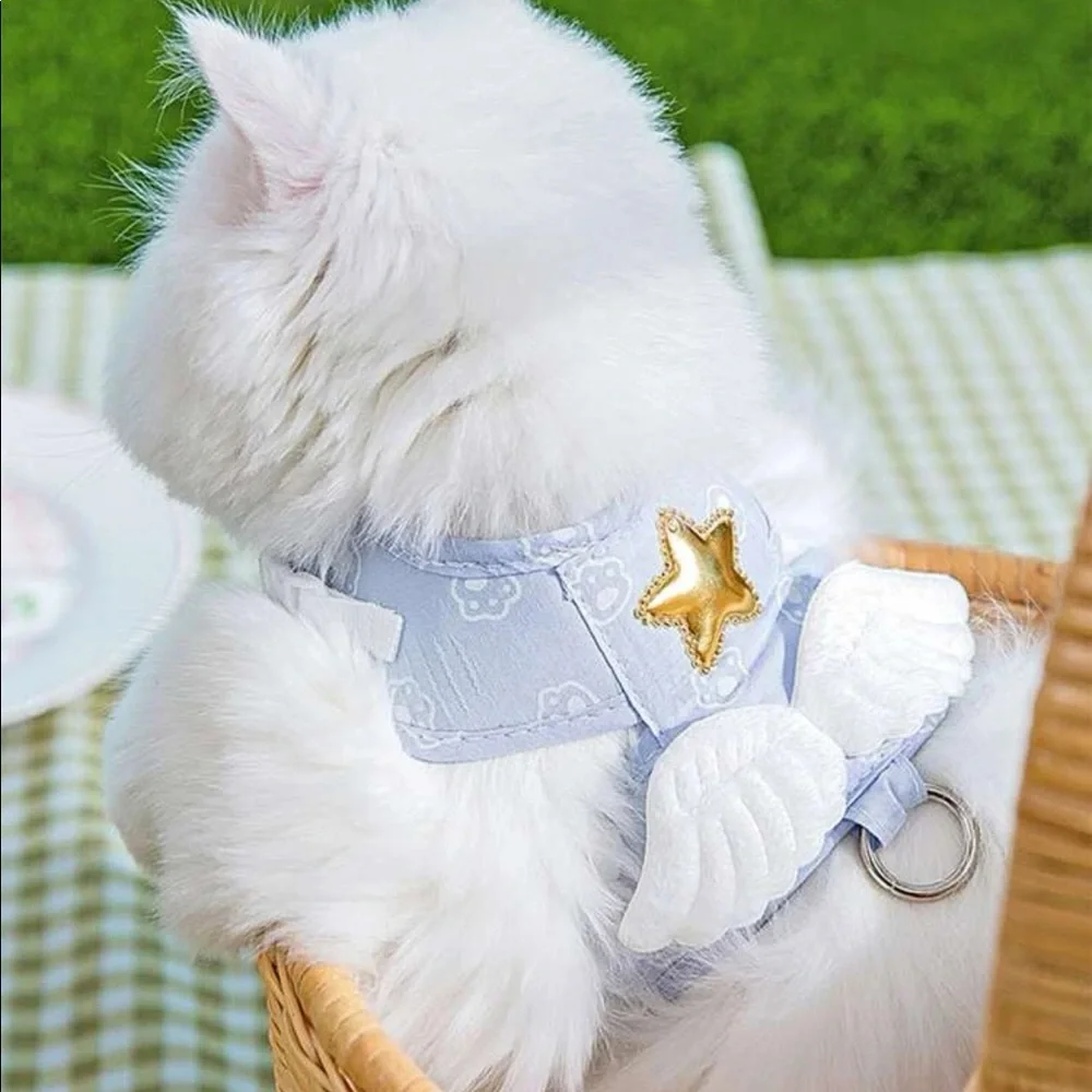 2pc Wing Decor Pet Harness & Leash 🐈